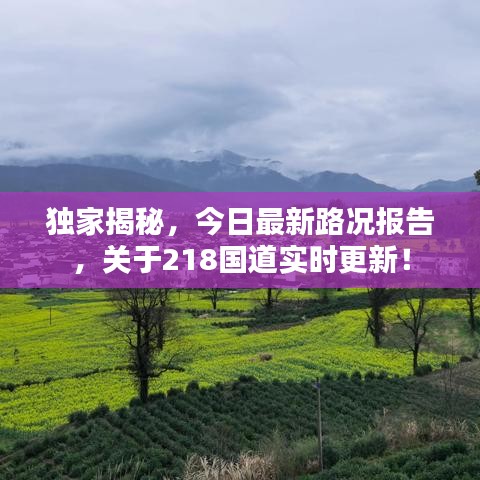 獨家揭秘，今日最新路況報告，關(guān)于218國道實時更新！
