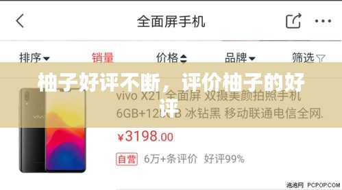 柚子好評不斷，評價柚子的好評 