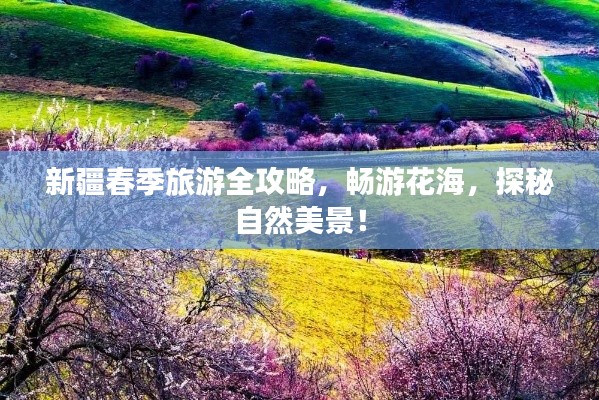 新疆春季旅游全攻略，暢游花海，探秘自然美景！