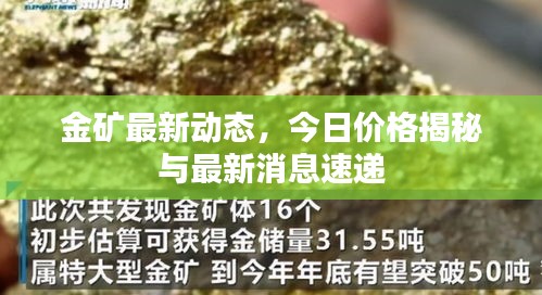 金礦最新動態(tài)，今日價格揭秘與最新消息速遞