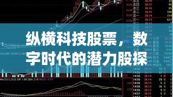 縱橫科技股票，數(shù)字時(shí)代的潛力股探索