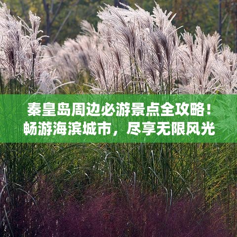 秦皇島周邊必游景點(diǎn)全攻略！暢游海濱城市，盡享無限風(fēng)光