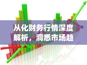 從化財務行情深度解析，洞悉市場趨勢，把握發(fā)展脈搏