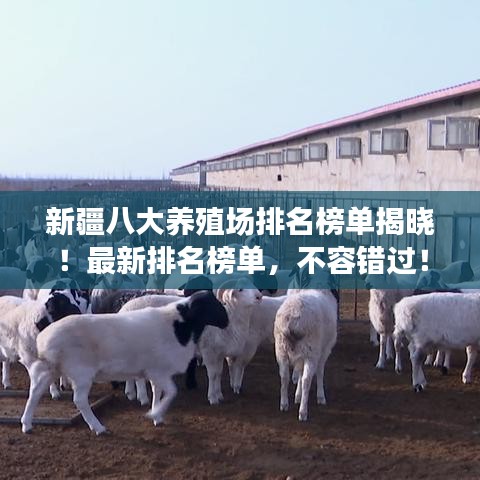 新疆八大養(yǎng)殖場排名榜單揭曉！最新排名榜單，不容錯(cuò)過！