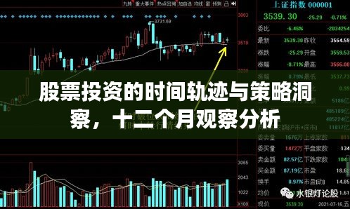 股票投資的時間軌跡與策略洞察，十二個月觀察分析