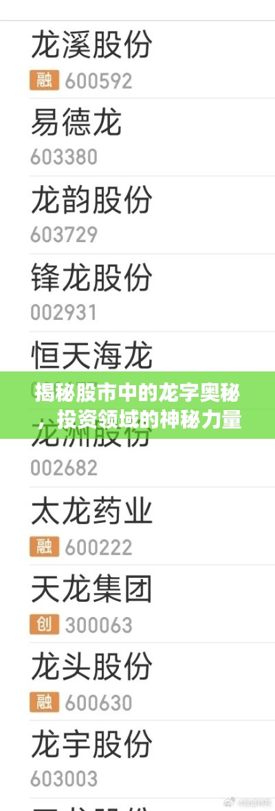 揭秘股市中的龍字奧秘，投資領(lǐng)域的神秘力量探索