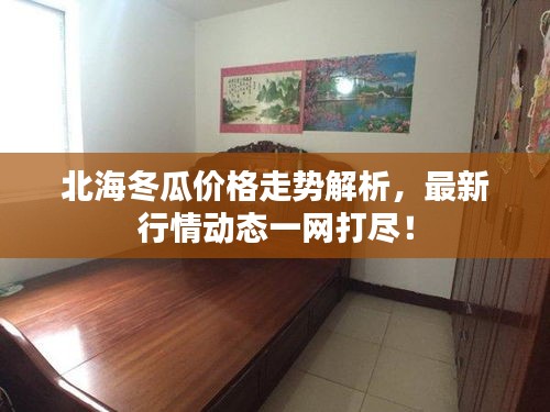 北海冬瓜價格走勢解析，最新行情動態(tài)一網(wǎng)打盡！