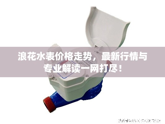 浪花水表價格走勢，最新行情與專業(yè)解讀一網(wǎng)打盡！