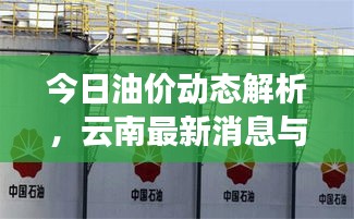 今日油價(jià)動(dòng)態(tài)解析，云南最新消息與全球影響因素一網(wǎng)打盡
