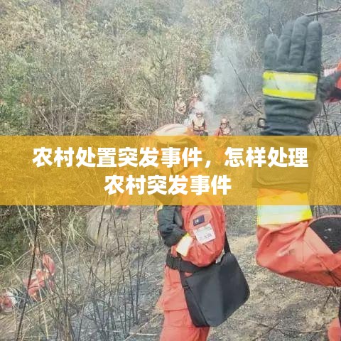 農(nóng)村處置突發(fā)事件，怎樣處理農(nóng)村突發(fā)事件 