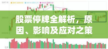股票停牌全解析，原因、影響及應(yīng)對之策