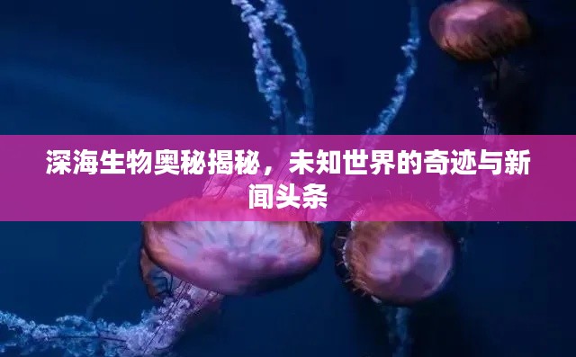 深海生物奧秘揭秘，未知世界的奇跡與新聞?lì)^條