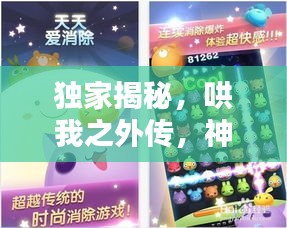 獨家揭秘，哄我之外傳，神秘番外分享在百度網(wǎng)盤