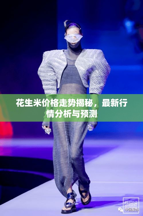 花生米價(jià)格走勢揭秘，最新行情分析與預(yù)測