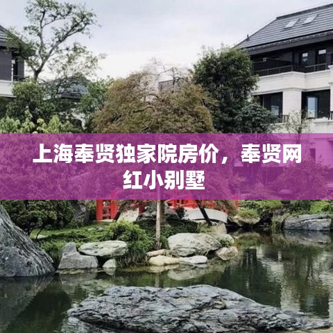 上海奉賢獨家院房價，奉賢網(wǎng)紅小別墅 