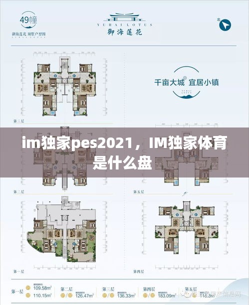 im獨(dú)家pes2021，IM獨(dú)家體育是什么盤 