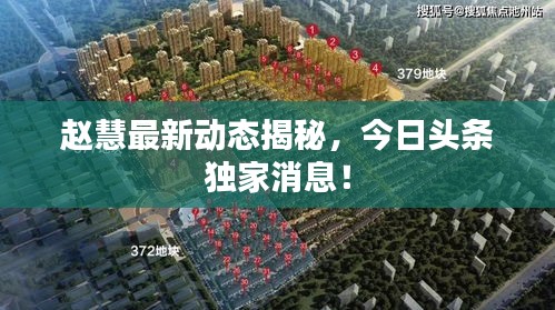 趙慧最新動(dòng)態(tài)揭秘，今日頭條獨(dú)家消息！