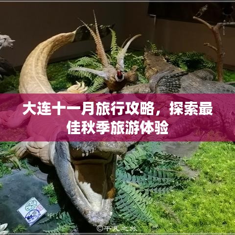 大連十一月旅行攻略，探索最佳秋季旅游體驗(yàn)