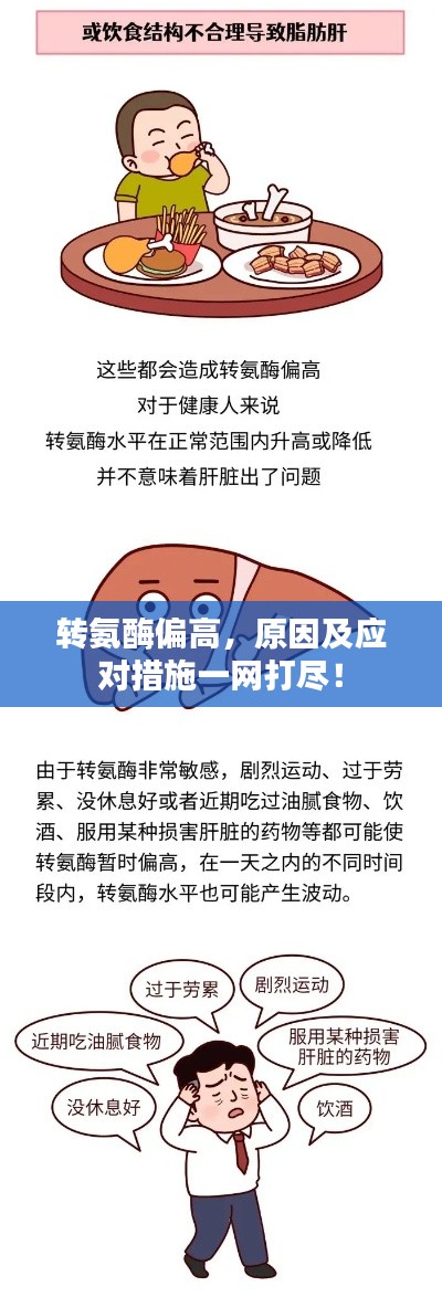 轉(zhuǎn)氨酶偏高，原因及應(yīng)對(duì)措施一網(wǎng)打盡！