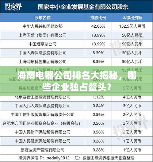 海南電器公司排名大揭秘，哪些企業(yè)獨(dú)占鰲頭？