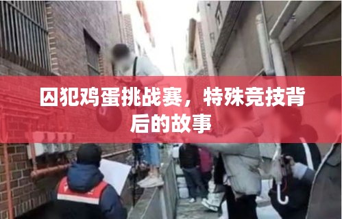 囚犯雞蛋挑戰(zhàn)賽，特殊競技背后的故事