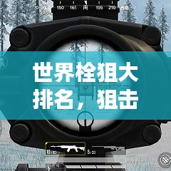 世界栓狙大排名，狙擊槍界的翹楚榜單揭曉！