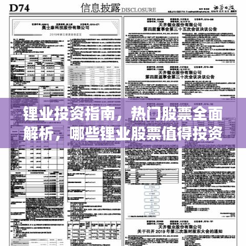 鋰業(yè)投資指南，熱門股票全面解析，哪些鋰業(yè)股票值得投資？