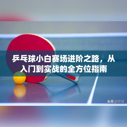 乒乓球小白賽場進階之路，從入門到實戰(zhàn)的全方位指南