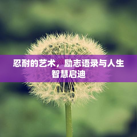 忍耐的藝術，勵志語錄與人生智慧啟迪