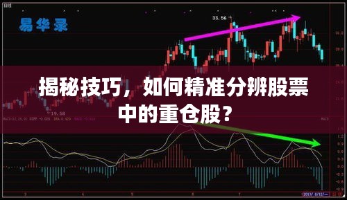 揭秘技巧，如何精準(zhǔn)分辨股票中的重倉股？