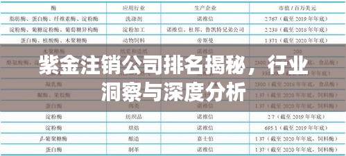 紫金注銷(xiāo)公司排名揭秘，行業(yè)洞察與深度分析