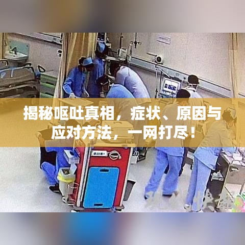 揭秘嘔吐真相，癥狀、原因與應(yīng)對方法，一網(wǎng)打盡！