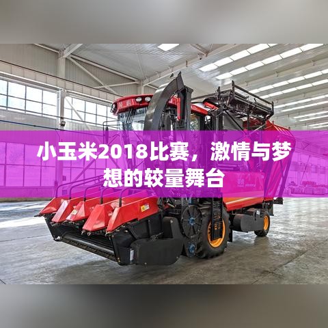 小玉米2018比賽，激情與夢想的較量舞臺