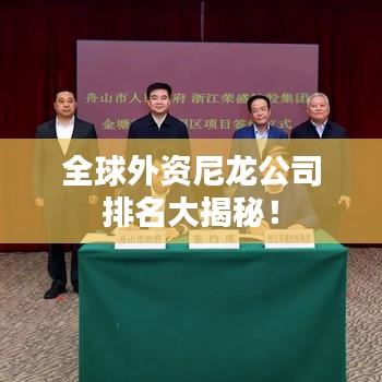 全球外資尼龍公司排名大揭秘！