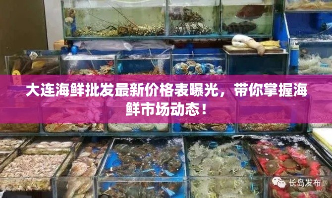 大連海鮮批發(fā)最新價格表曝光，帶你掌握海鮮市場動態(tài)！