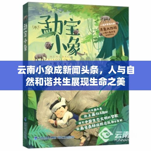 云南小象成新聞?lì)^條，人與自然和諧共生展現(xiàn)生命之美