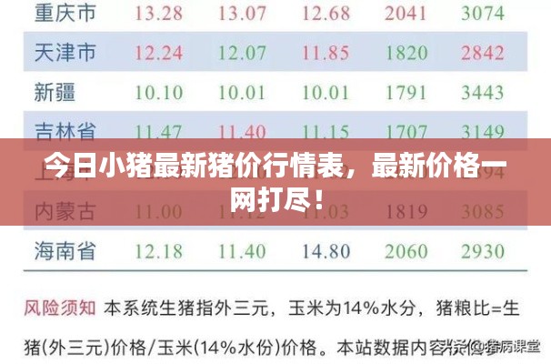 今日小豬最新豬價(jià)行情表，最新價(jià)格一網(wǎng)打盡！