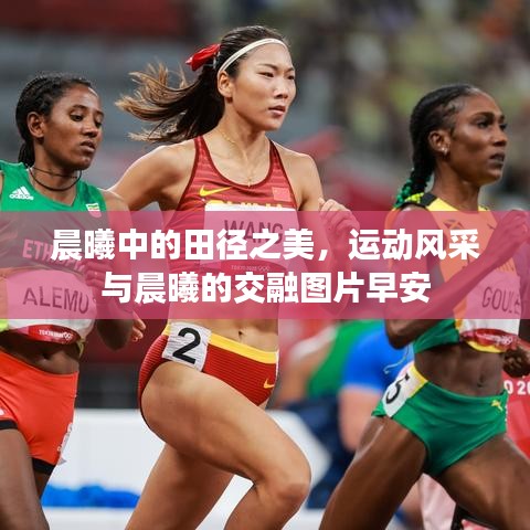 晨曦中的田徑之美，運動風(fēng)采與晨曦的交融圖片早安