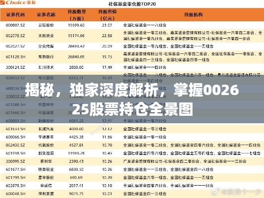 揭秘，獨(dú)家深度解析，掌握002625股票持倉(cāng)全景圖