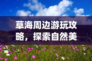 草海周邊游玩攻略，探索自然美景，盡享愜意之旅！