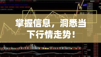 掌握信息，洞悉當下行情走勢！