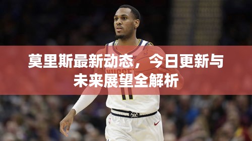 莫里斯最新動(dòng)態(tài)，今日更新與未來展望全解析