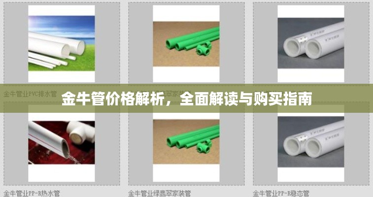 金牛管價格解析，全面解讀與購買指南
