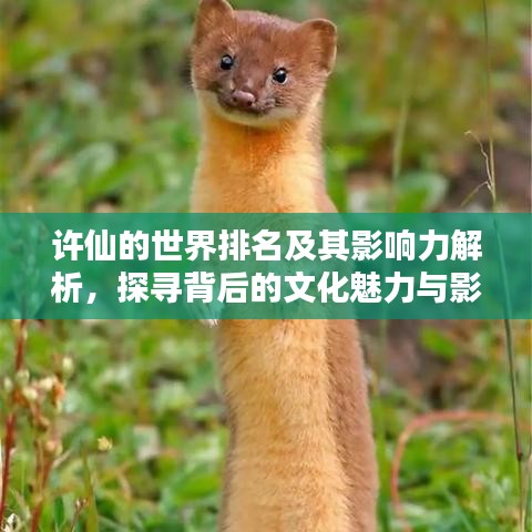 許仙的世界排名及其影響力解析，探尋背后的文化魅力與影響