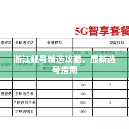 浙江靚號(hào)精選攻略，最新選號(hào)指南
