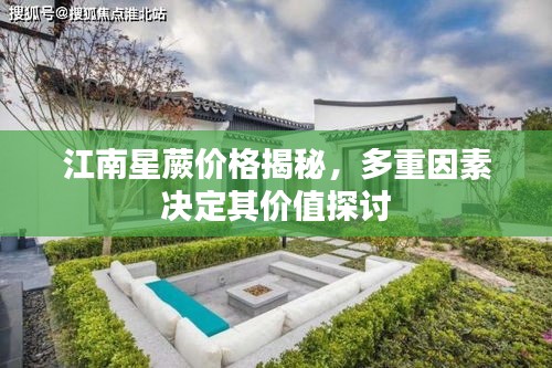 江南星蕨價(jià)格揭秘，多重因素決定其價(jià)值探討