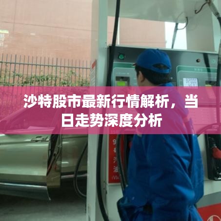 沙特股市最新行情解析，當日走勢深度分析