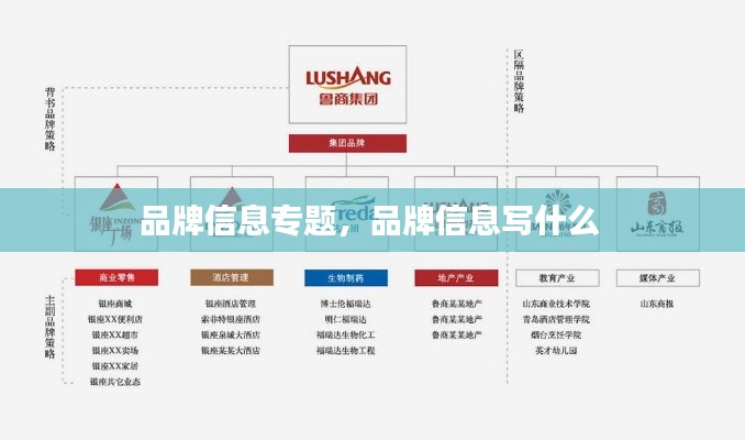 品牌信息專題，品牌信息寫什么 