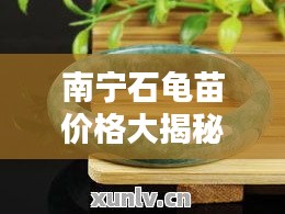 南寧石龜苗價格大揭秘，最新行情分析！