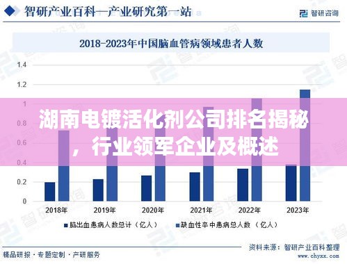 湖南電鍍活化劑公司排名揭秘，行業(yè)領(lǐng)軍企業(yè)及概述